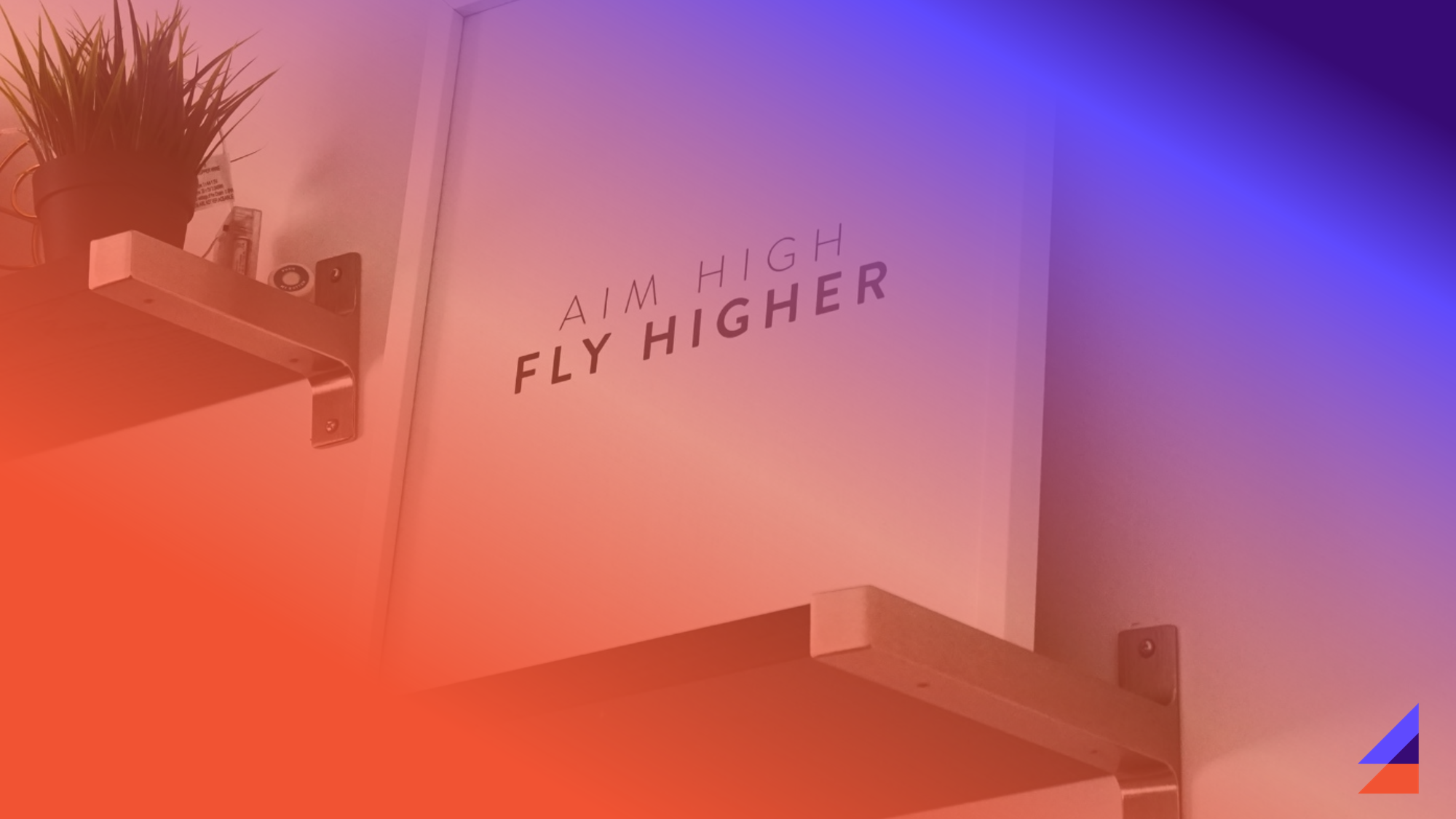 Aim High Fly Higher - Ariane Consulting