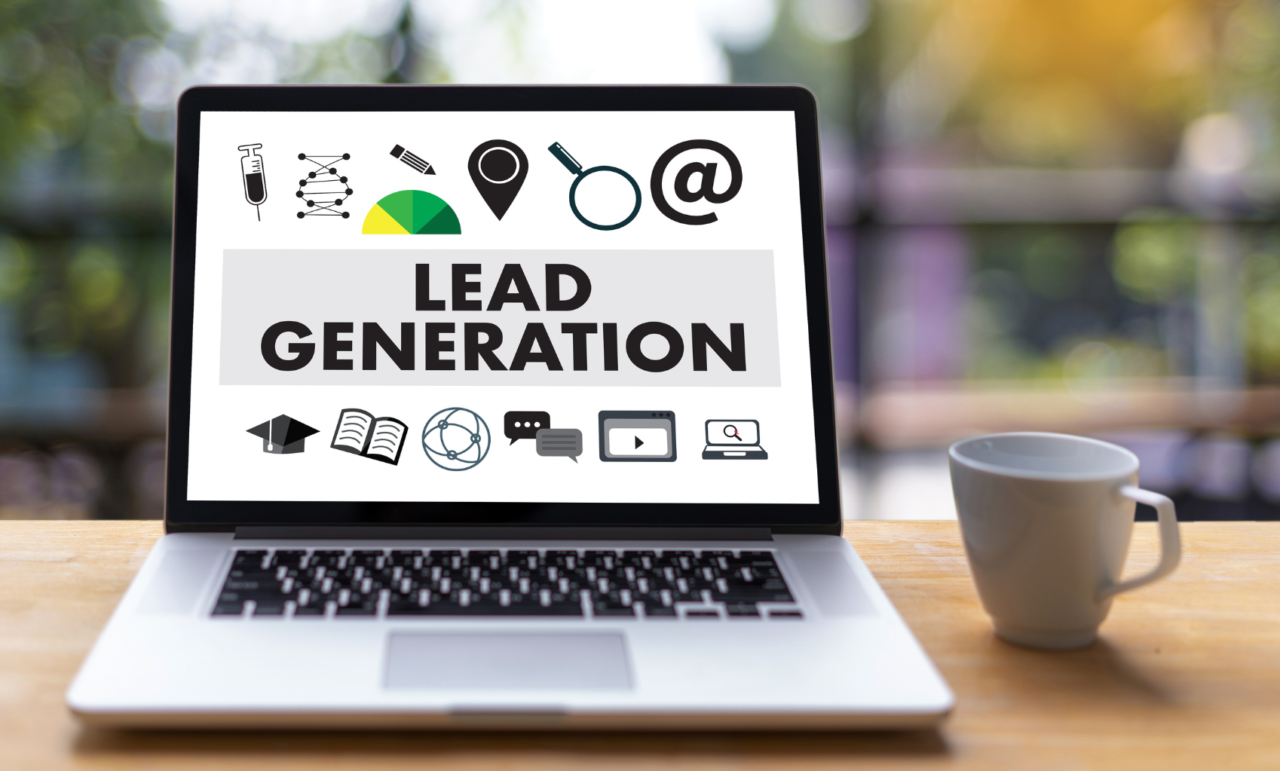 Lead generation strategies-Ariane Consulting