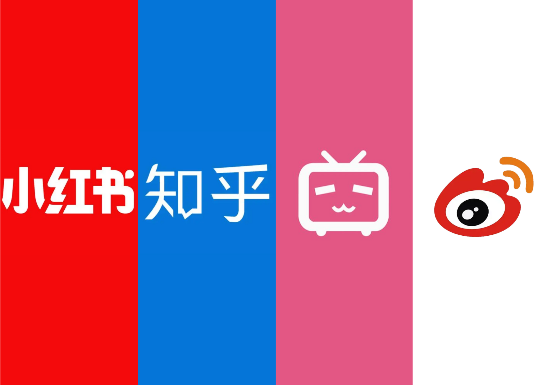 CHINESE SOICAL MEDIA